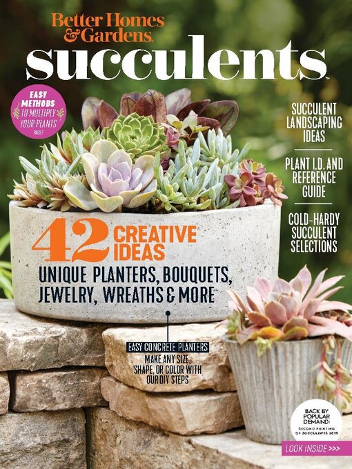 Cover image for BHG Succulents